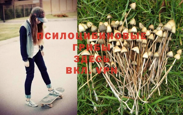 ешки Козловка
