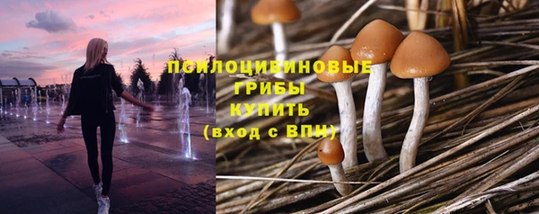 мяу мяу кристалл Козельск