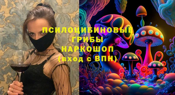 ешки Козловка