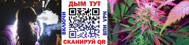 Марихуана сатива  Купить где  Котельнич 